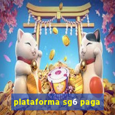 plataforma sg6 paga