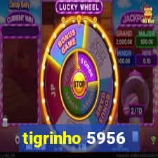 tigrinho 5956