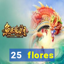 25 flores silvestres com nomes