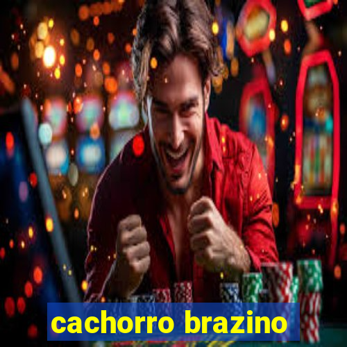 cachorro brazino