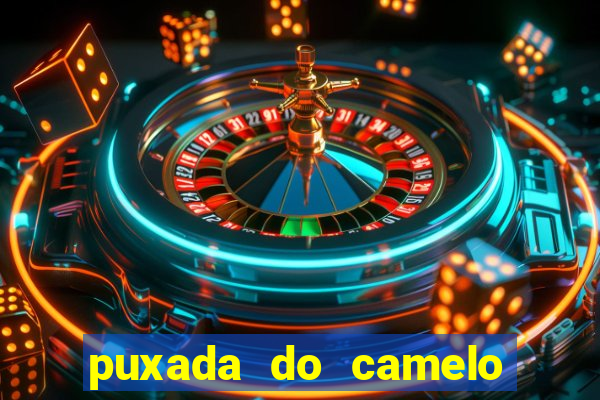 puxada do camelo jogo do bicho