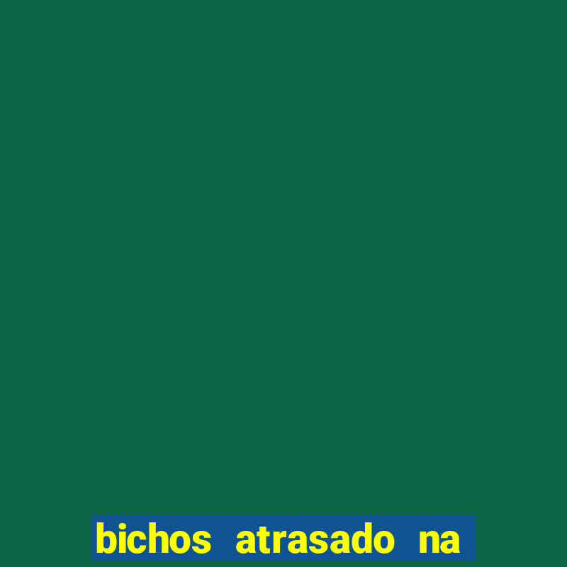 bichos atrasado na loteria dos sonhos