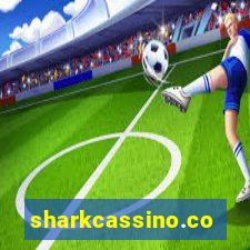 sharkcassino.com