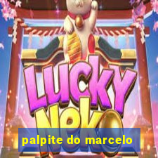 palpite do marcelo