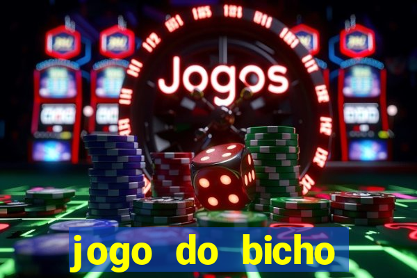 jogo do bicho crash bingo