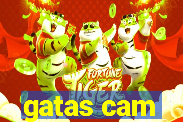 gatas cam