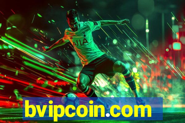 bvipcoin.com