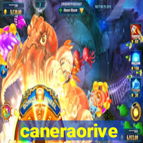 caneraorive